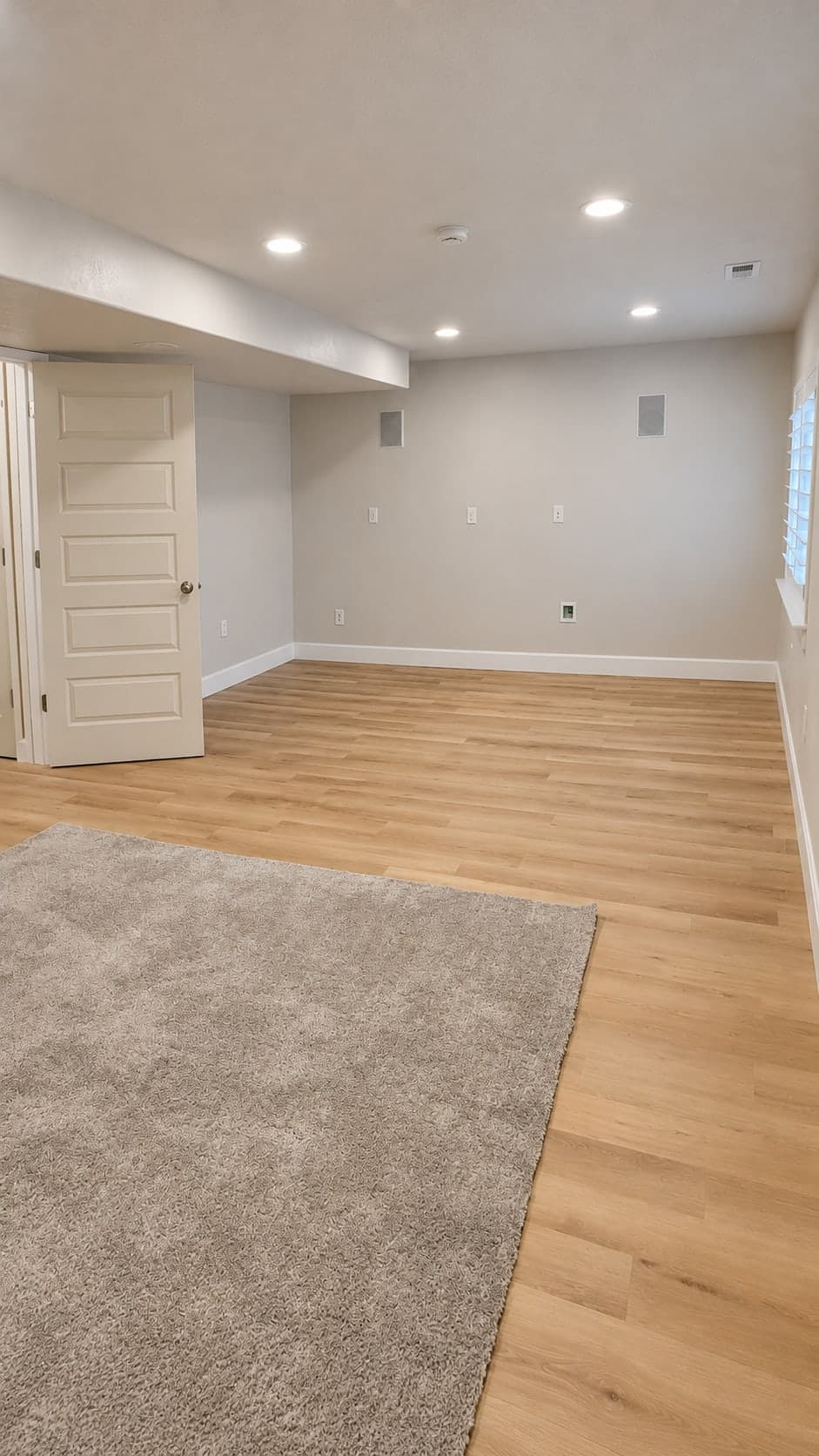A second basement room with plank flooring, a rug, a paneled door, in-wall speakers, outlets and a cable plate, beside a shuttered window